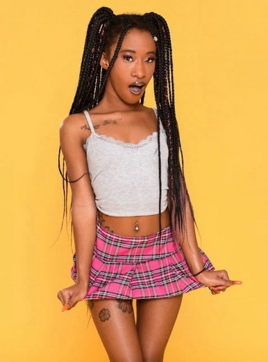 Mini Stallion